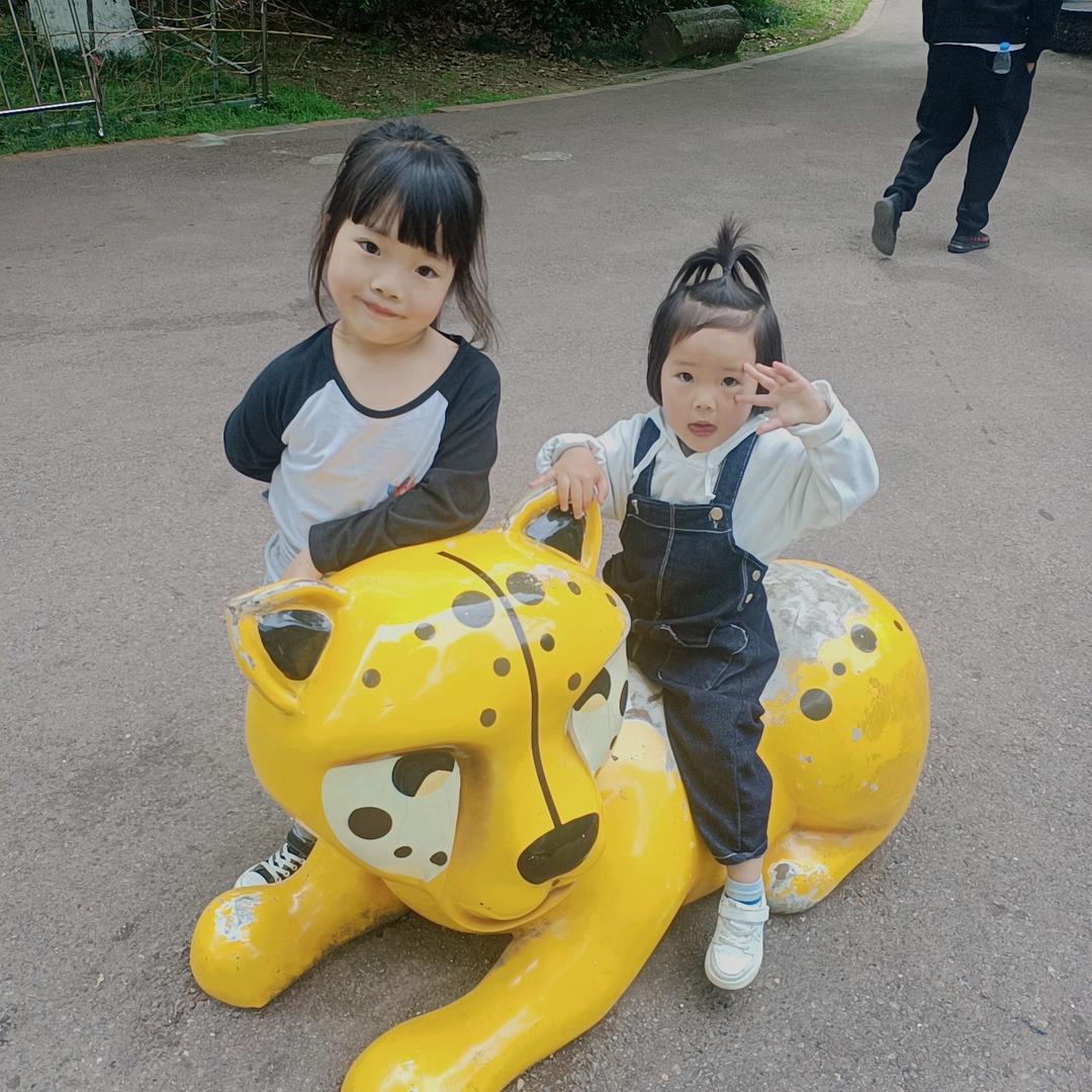 梦菲