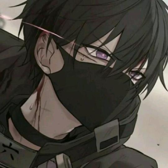 龙龙啊（三角洲行动）