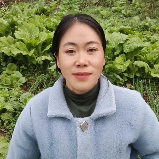 小刘 (早上5点开播)