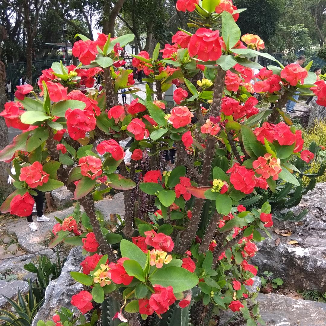 幸福靠自己
