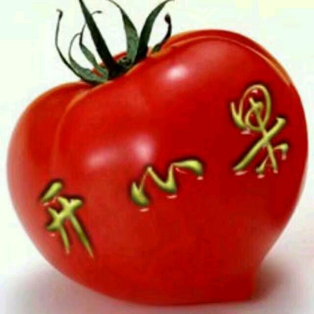 新慧龙