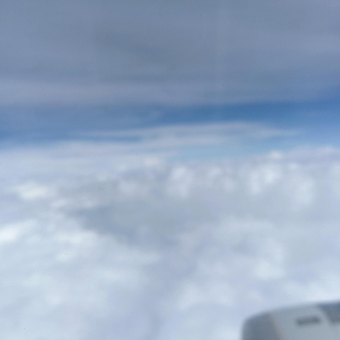 淡淡的优伤