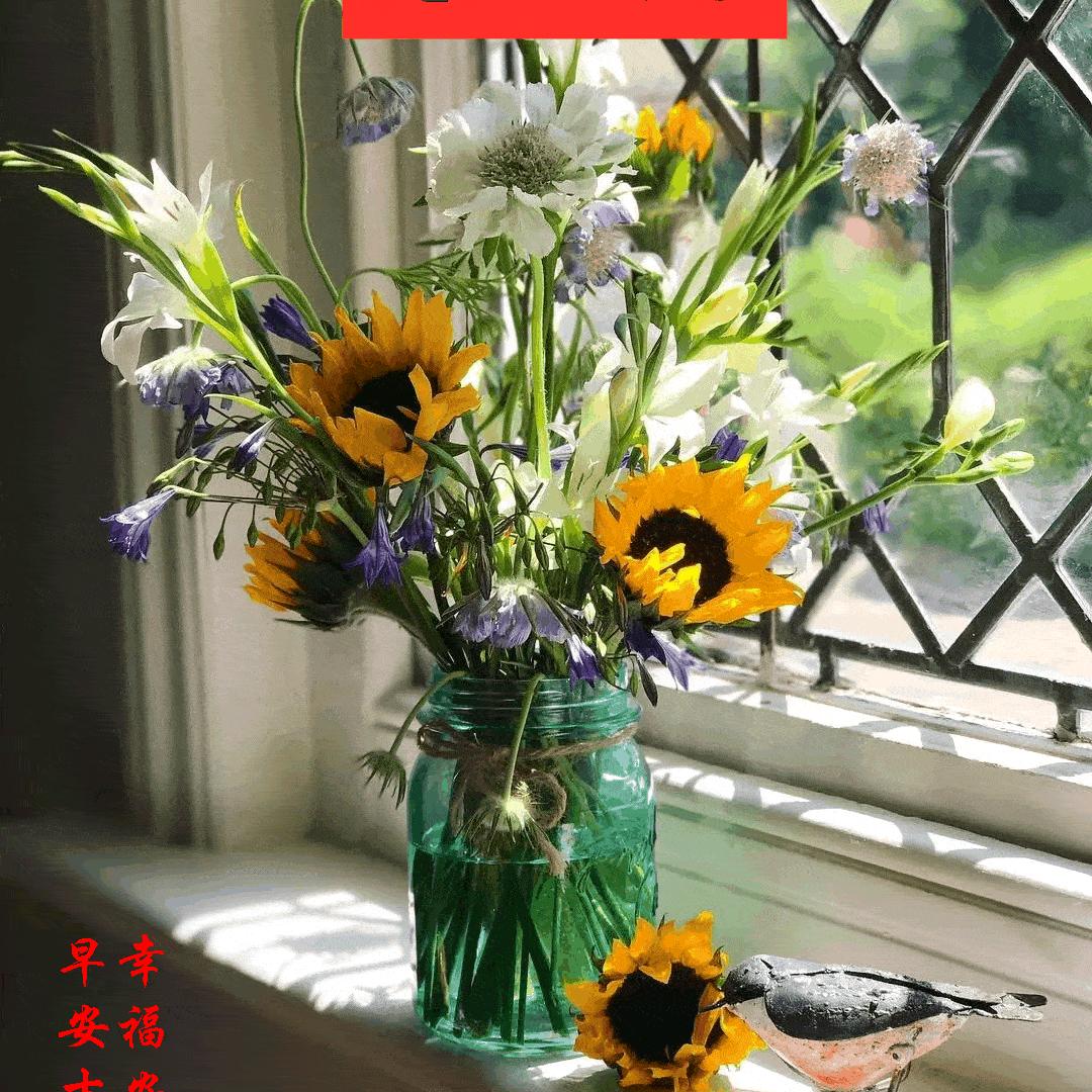 美丽妈妈