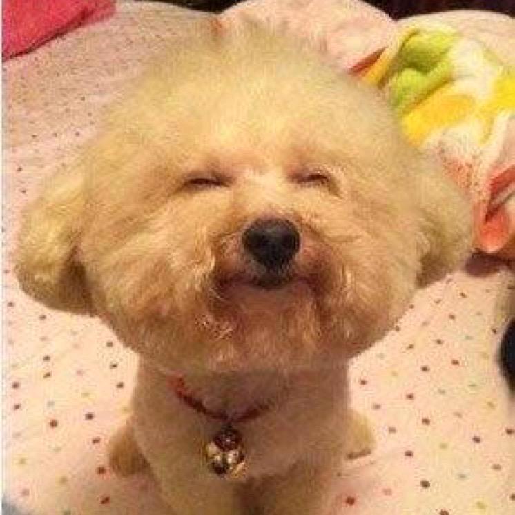另半颗丸子🌈