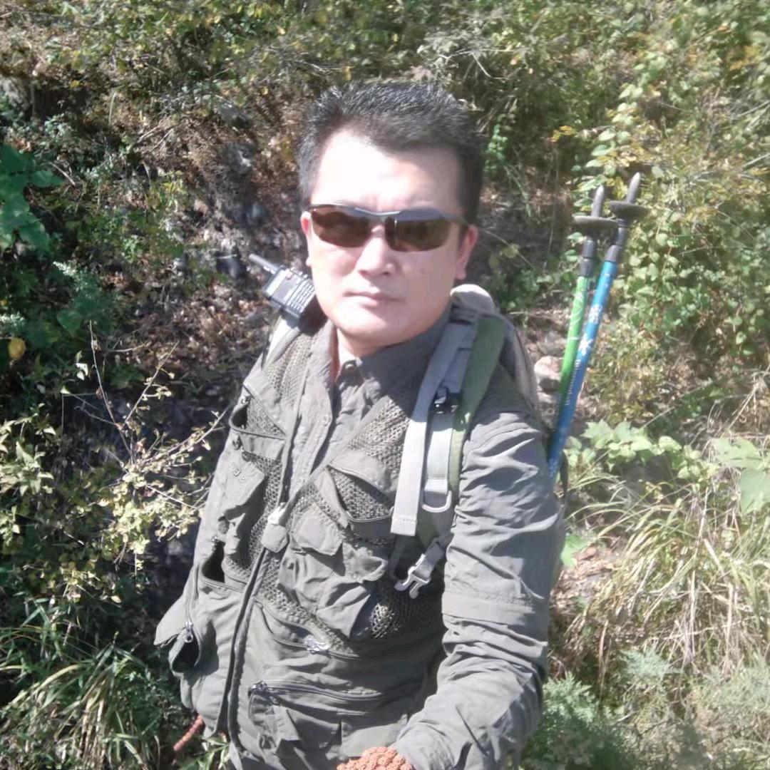 肥猫爱养鱼