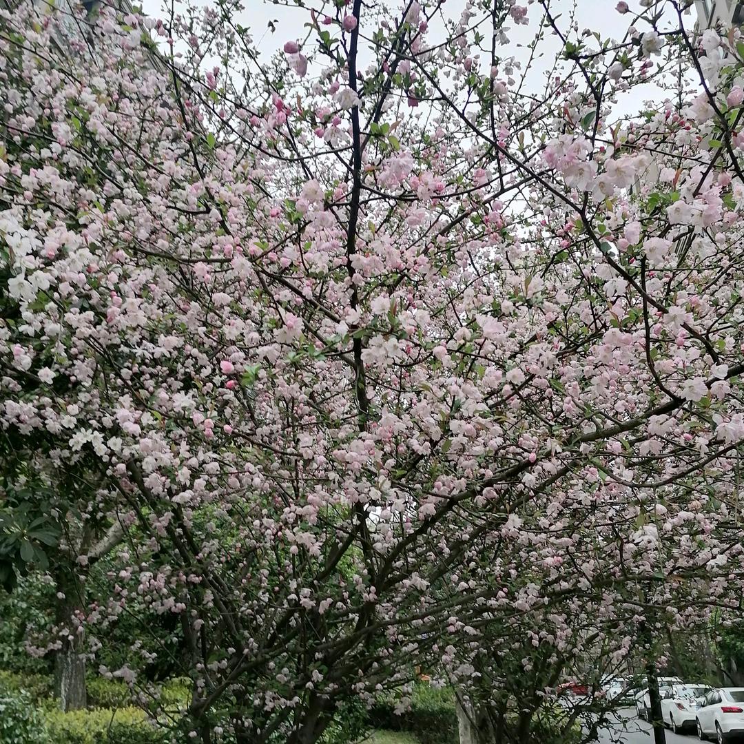 秋雨