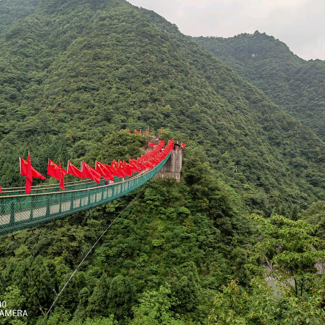 用户3406010172000蓄谋已久