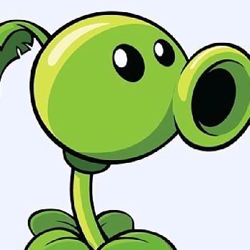 🟢🟢🟢🟢🟢🟢