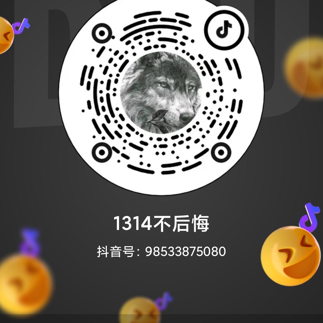 1314不后悔《㞮孞》