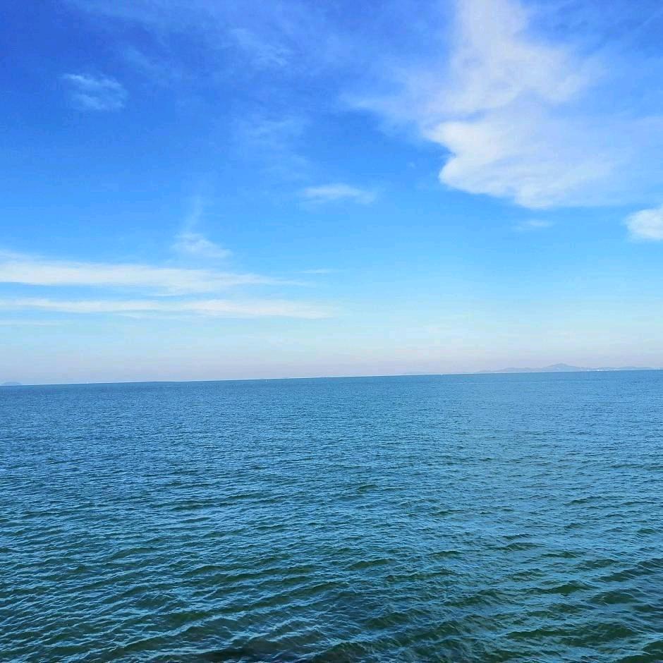 🇨🇳自由飞翔