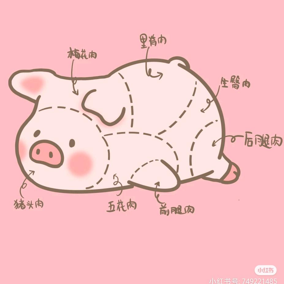 烧猪蹄