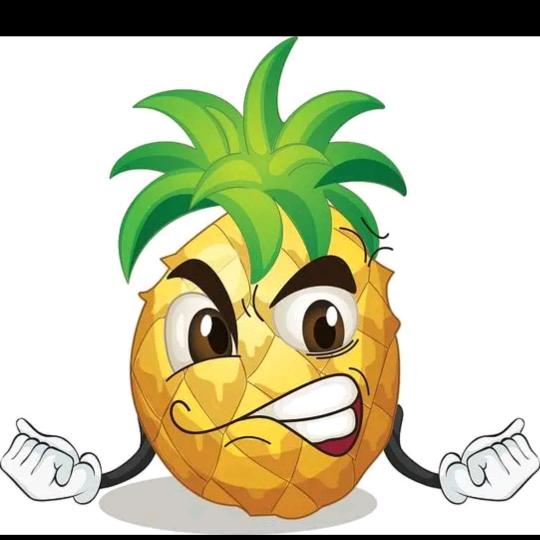 菠萝🍍