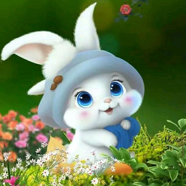 落日与晚