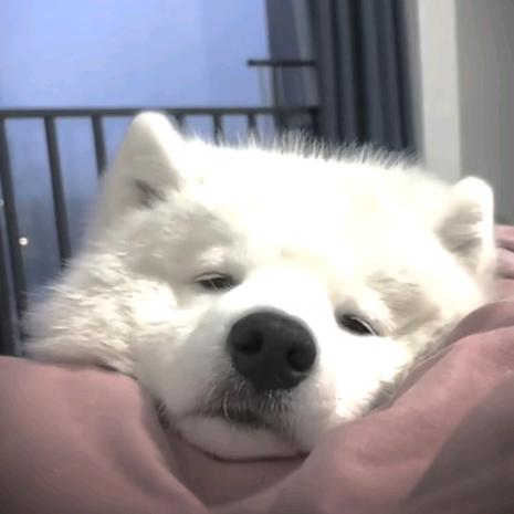 -上上芊.