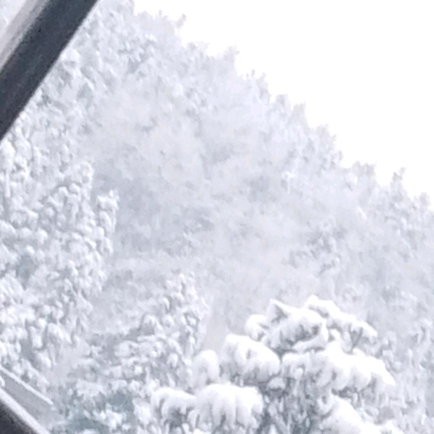 再见
