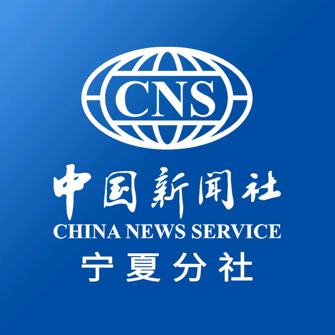 中新宁夏