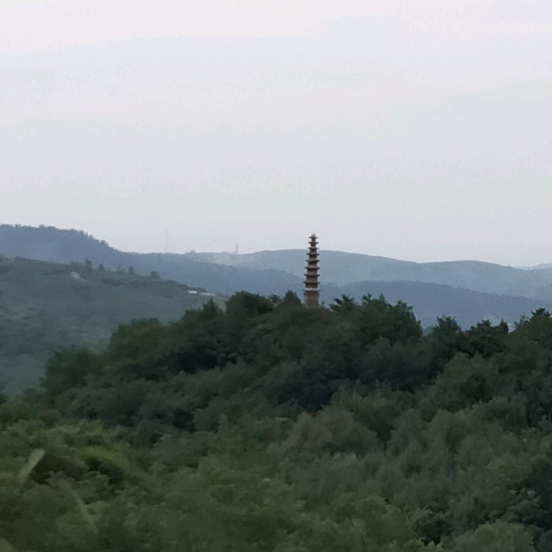 馨竹