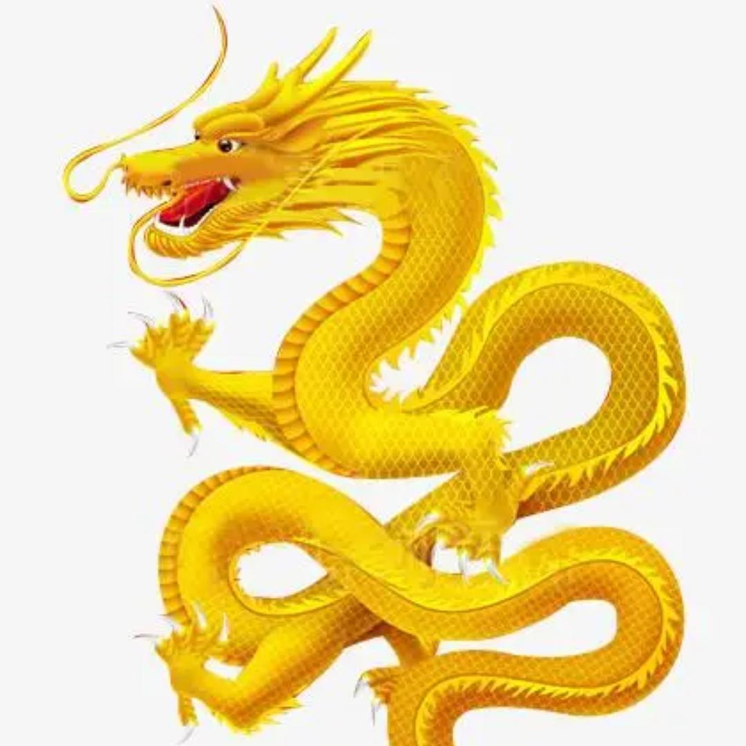 灵禅居士说龙