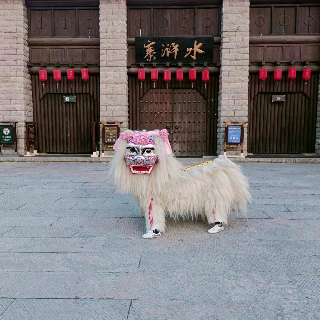 梁山忠義醒狮团