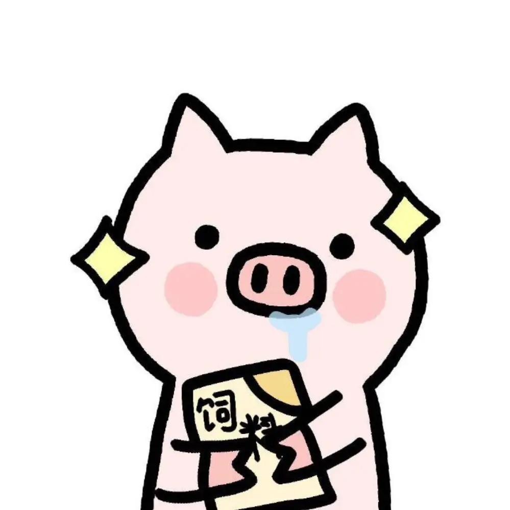 小猪看动漫