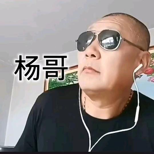 杨哥
