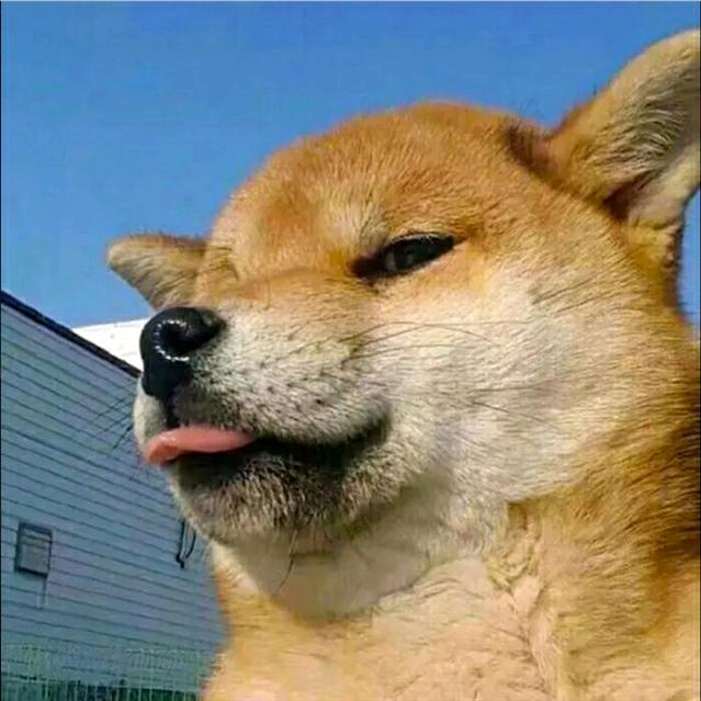 春风众包仔