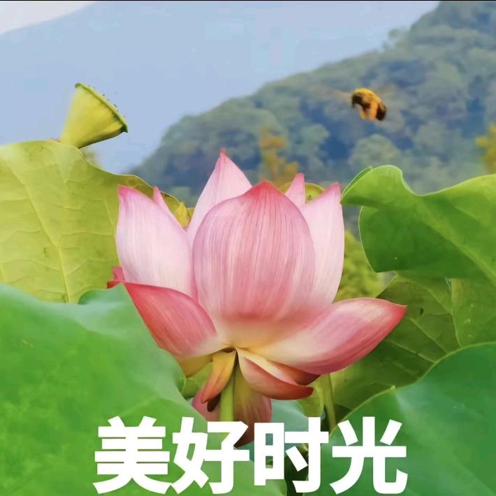 每天开心.