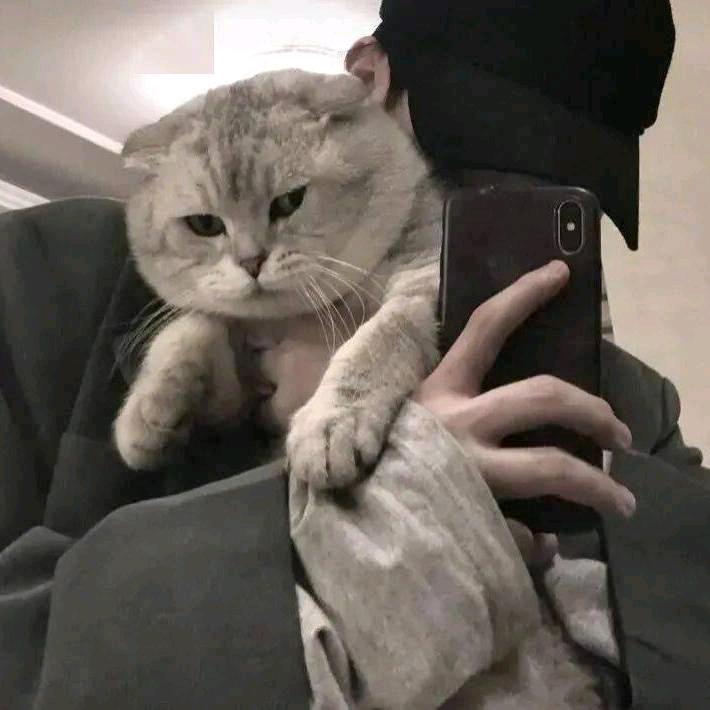 野草青狰骨 💫