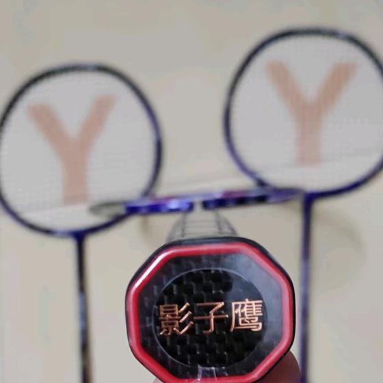 影子鹰时刻关注你