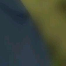张春风
