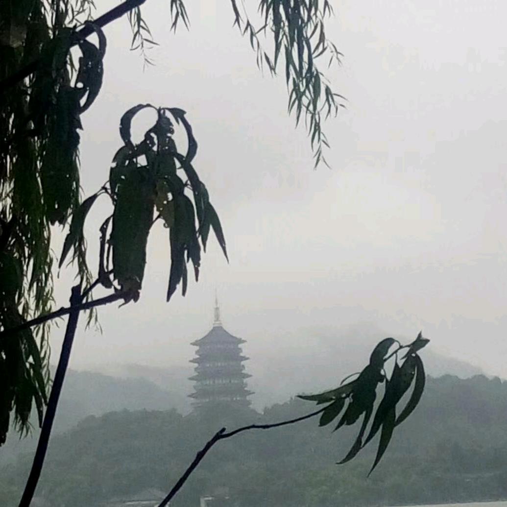 明知是梦  心却在痛