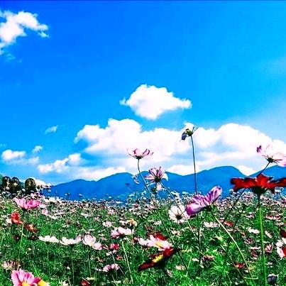 @蓝天