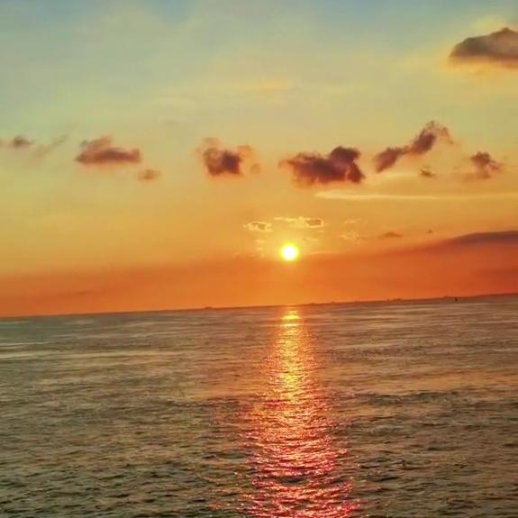 🎵文远并不远☀