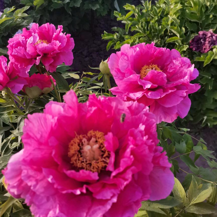 润禾(林清超市)