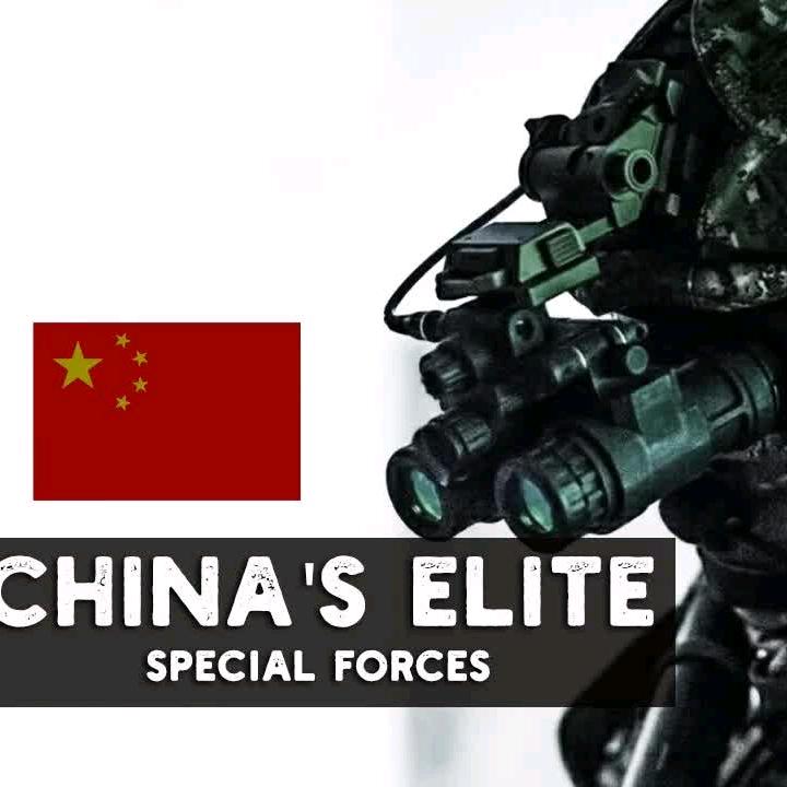 你算哪个小饼干
