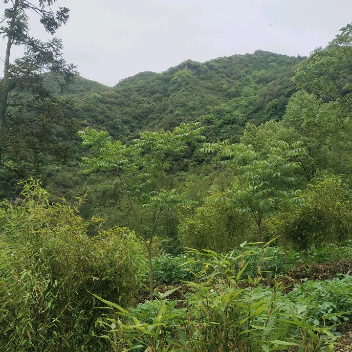 只生欢喜不生愁