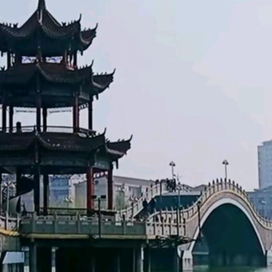 好运莲国