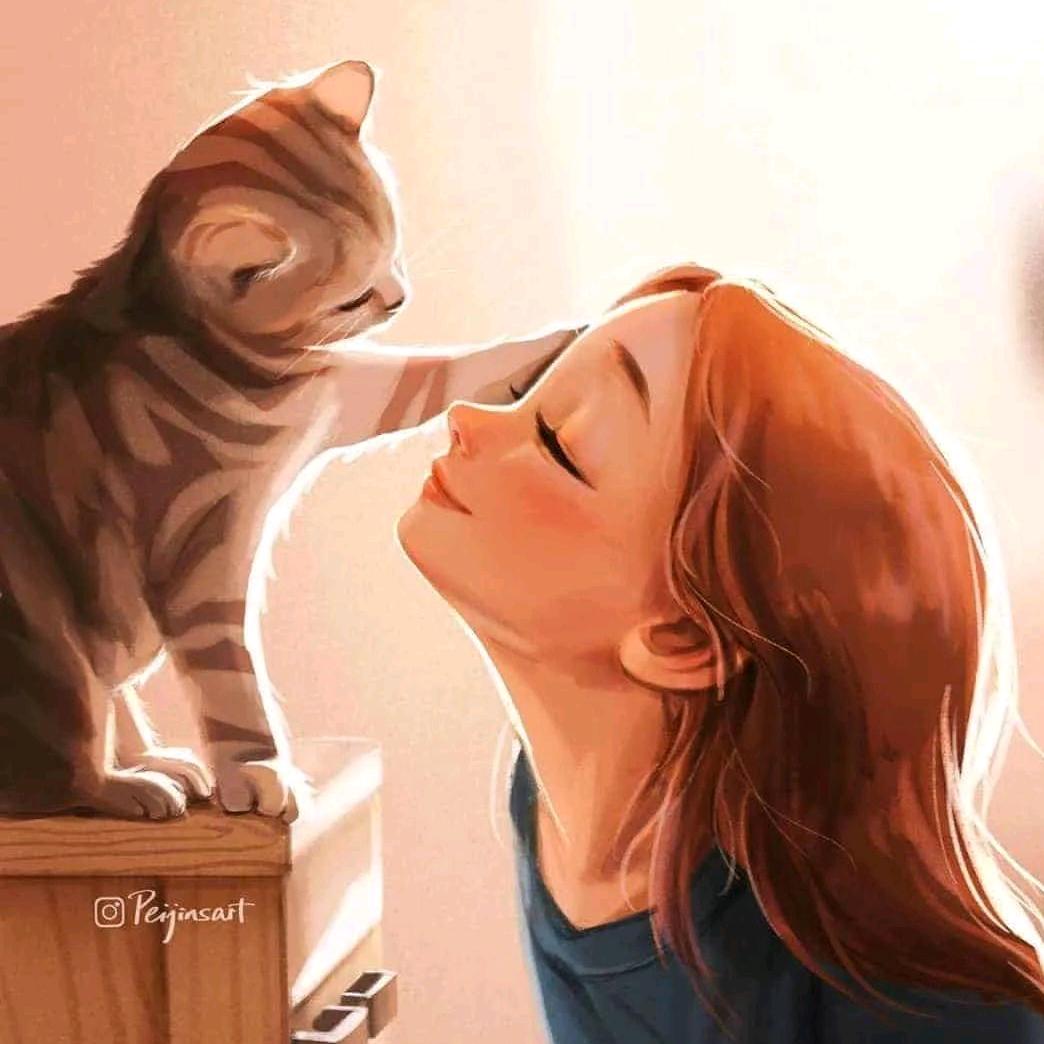 娜宝赚猫粮