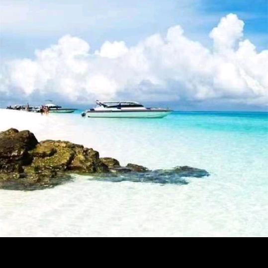 依易行善。为了美好的明天。，加油