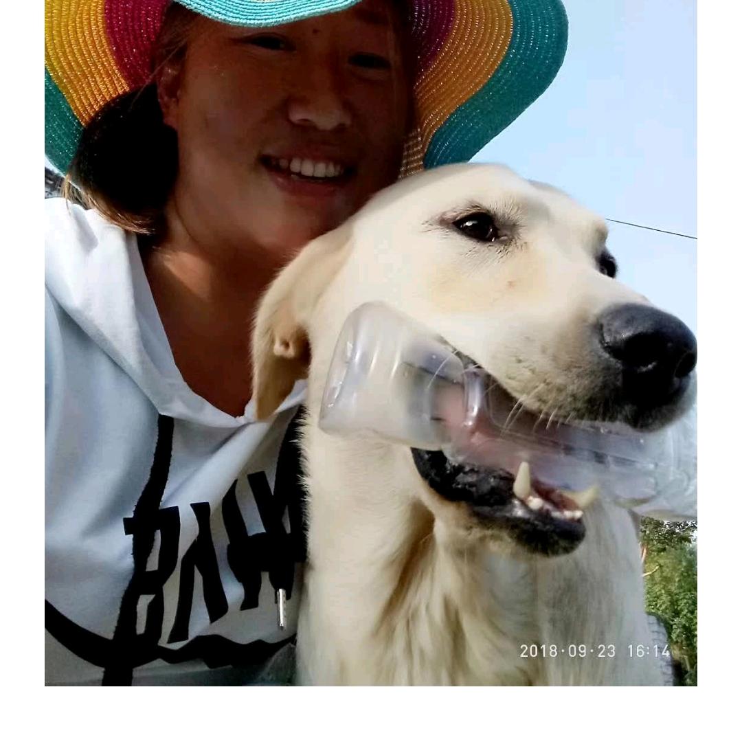 吴大爷