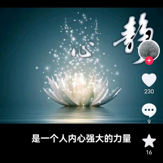 静悟