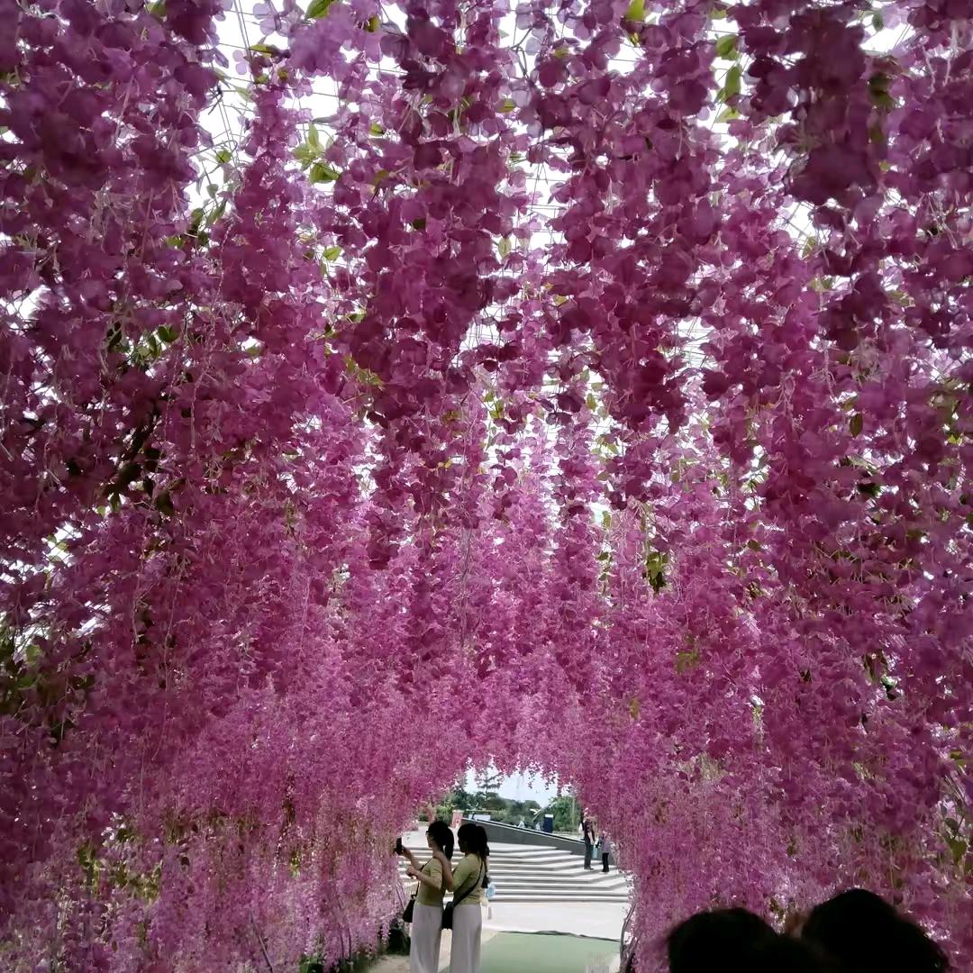 礼泉航航，