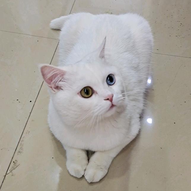 玲手机用户61196351397