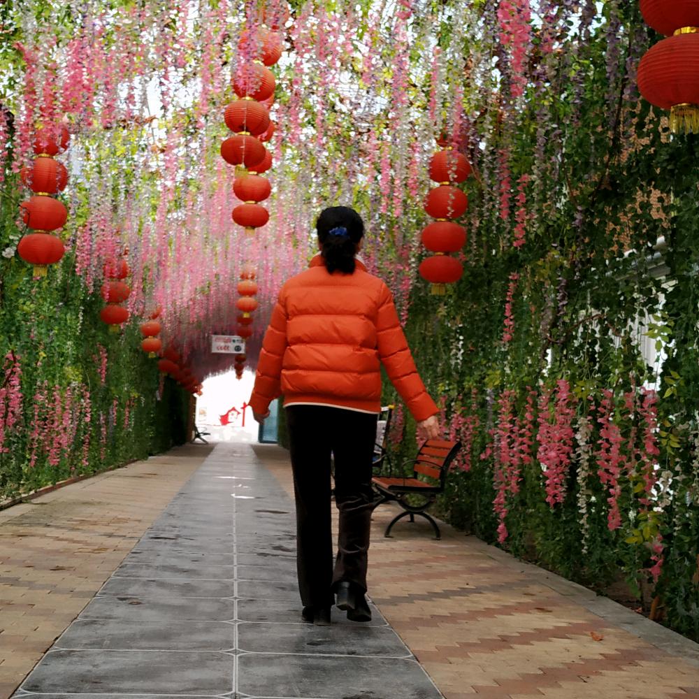木棉花开