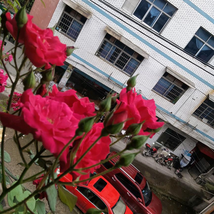 开心过好每一天