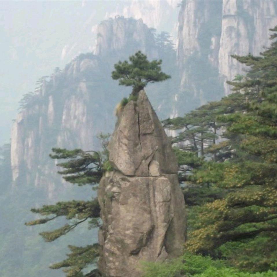 昂首挺胸🎼🚵🏻