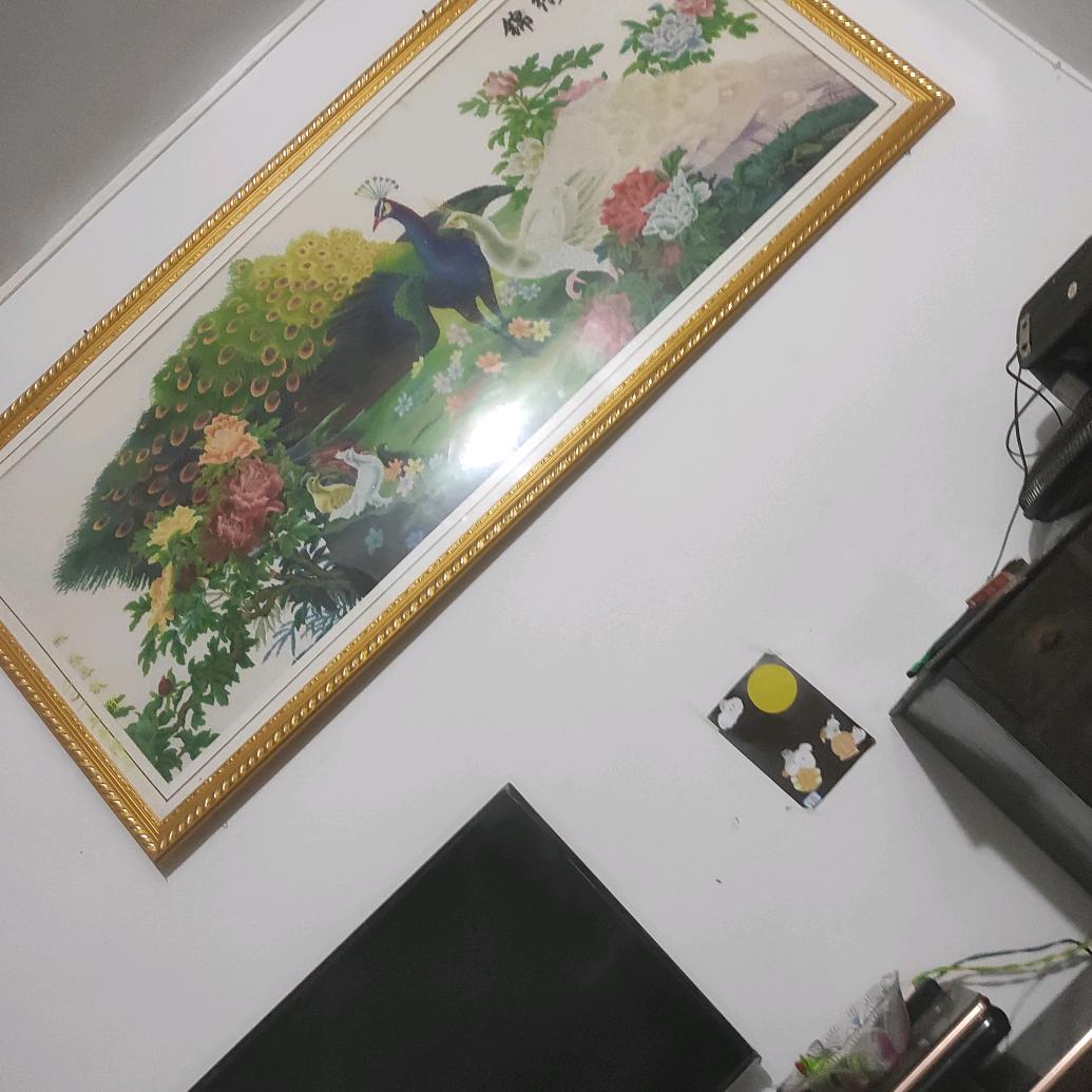 国际缝纫师