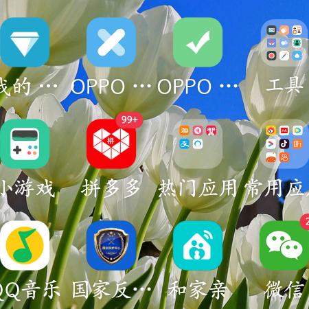 菊
