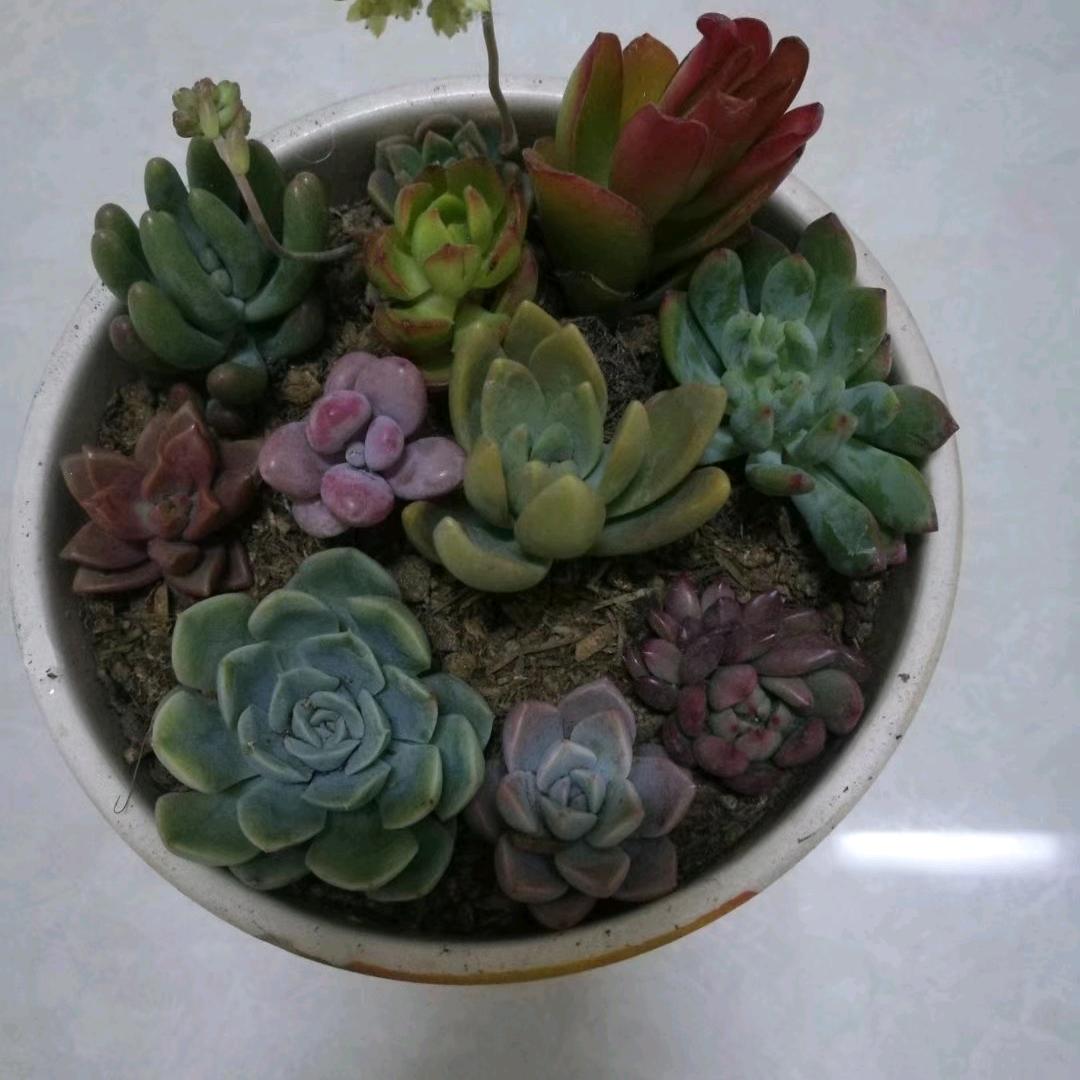 手指冰冰