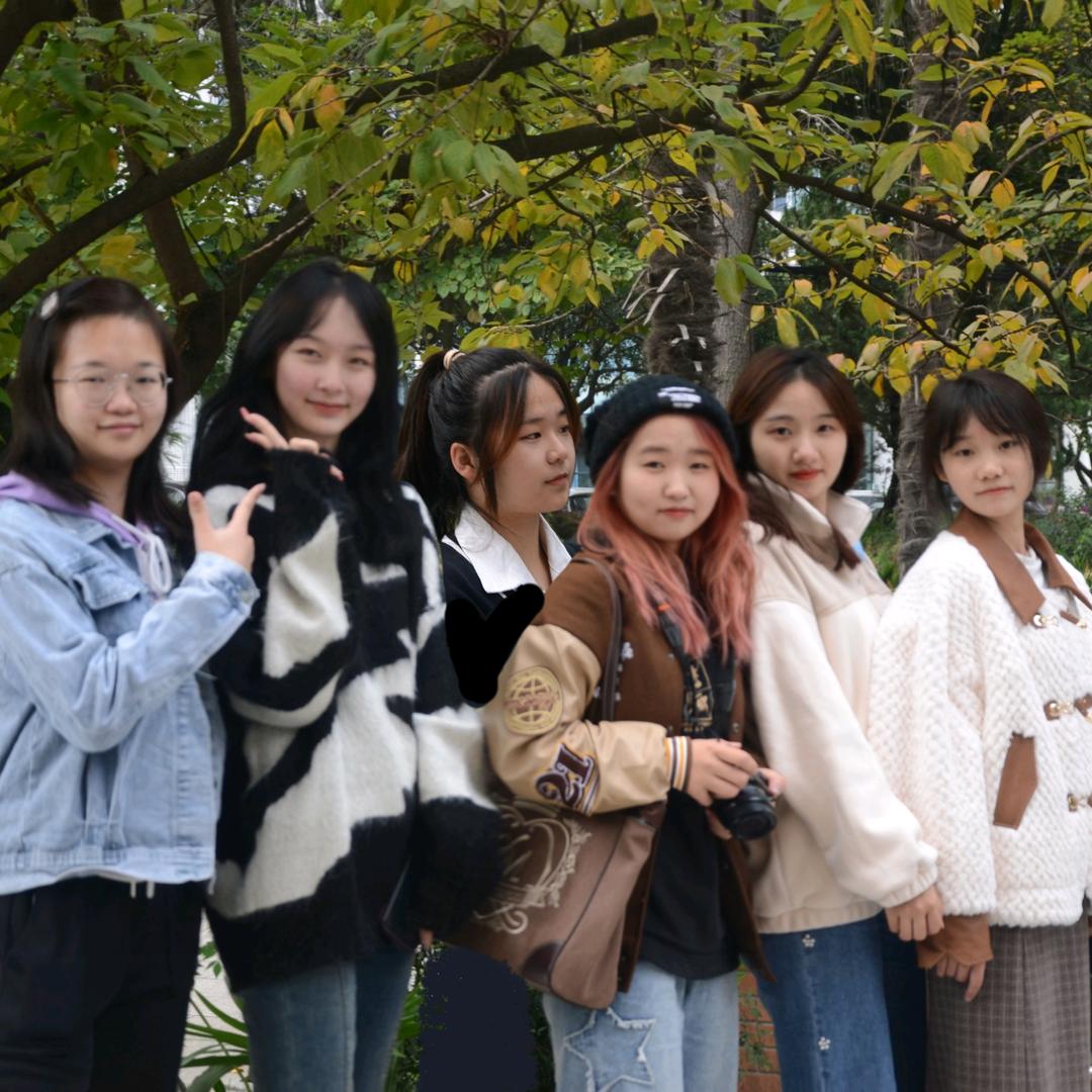 202超人气组合
